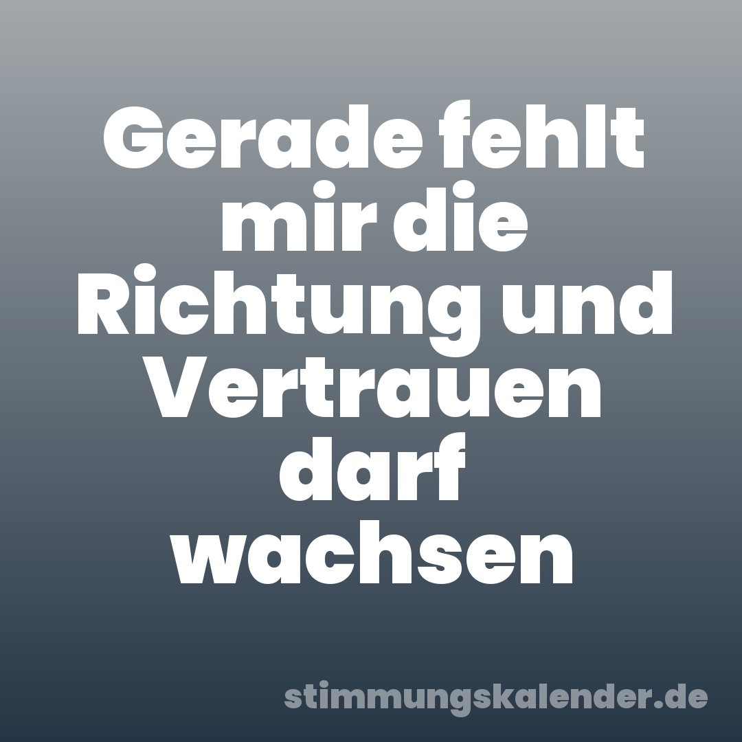 Gerade fehlt mir die Richtung und Vertrauen darf wachsen