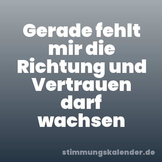 Gerade fehlt mir die Richtung und Vertrauen darf wachsen