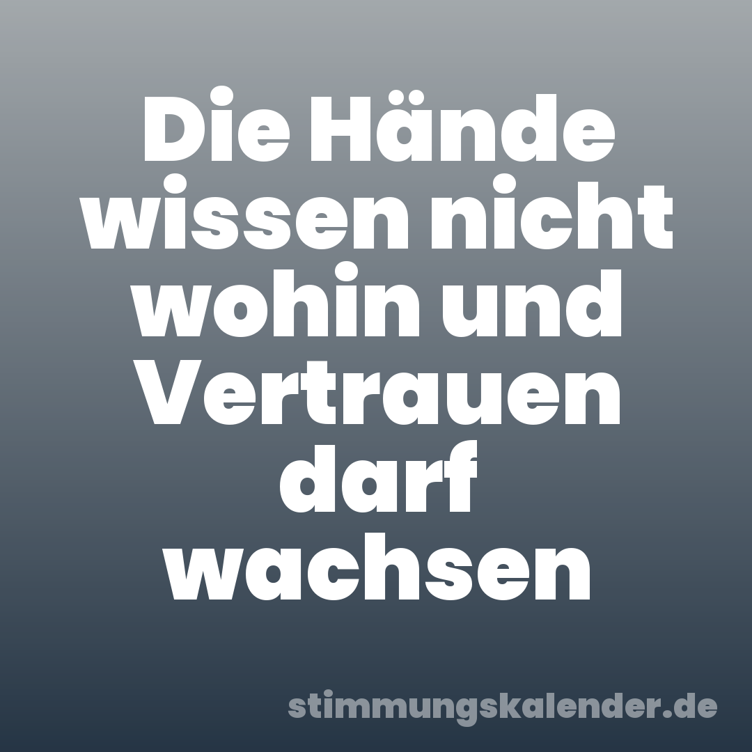 Die Hände wissen nicht wohin und Vertrauen darf wachsen