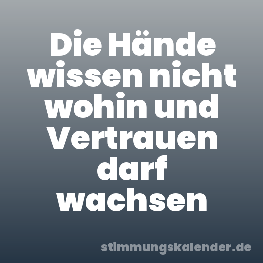 Die Hände wissen nicht wohin und Vertrauen darf wachsen