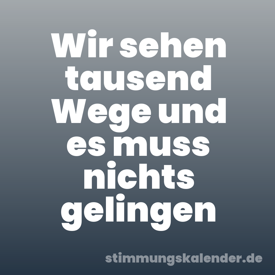Wir sehen tausend Wege und es muss nichts gelingen