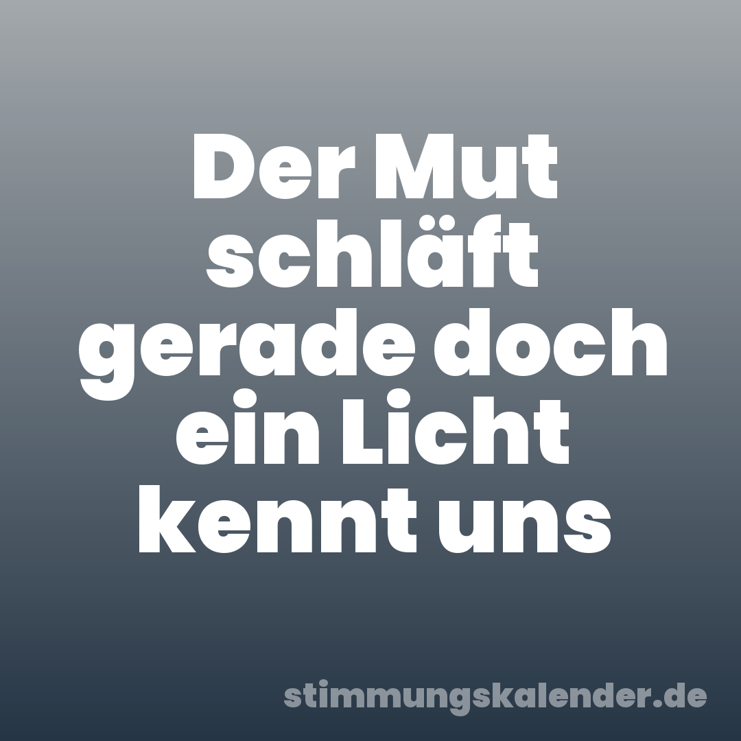Der Mut schläft gerade doch ein Licht kennt uns