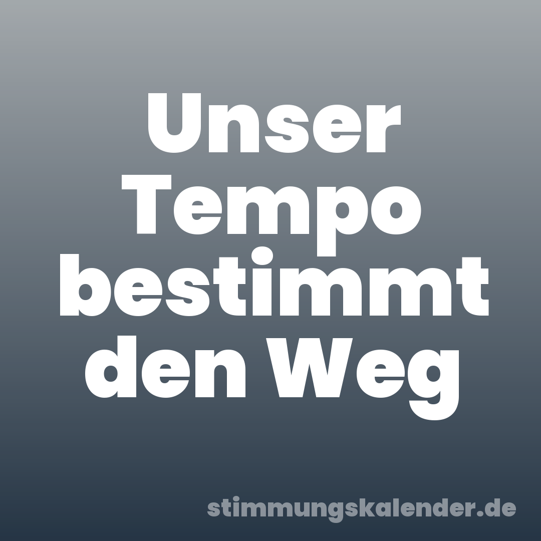 Unser Tempo bestimmt den Weg