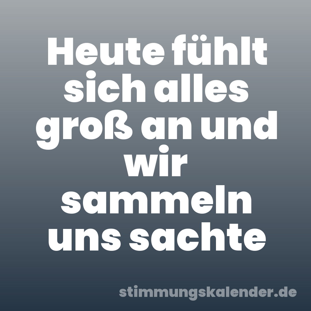 Heute fühlt sich alles groß an und wir sammeln uns sachte