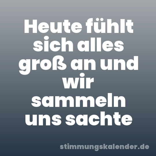 Heute fühlt sich alles groß an und wir sammeln uns sachte