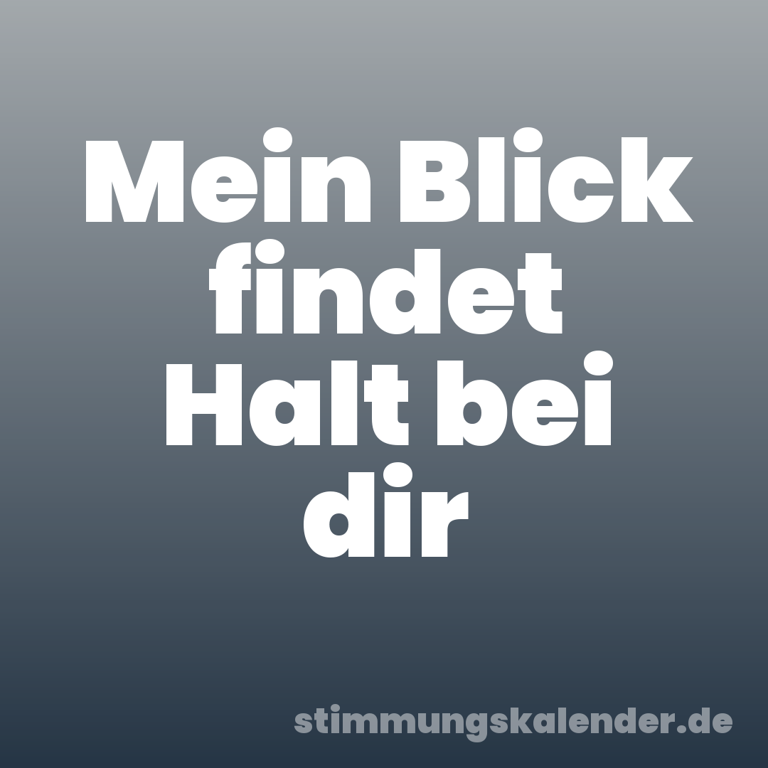 Mein Blick findet Halt bei dir