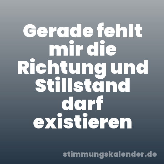 Gerade fehlt mir die Richtung und Stillstand darf existieren