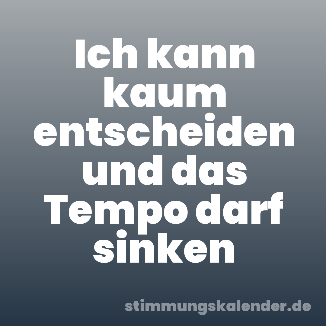 Ich kann kaum entscheiden und das Tempo darf sinken