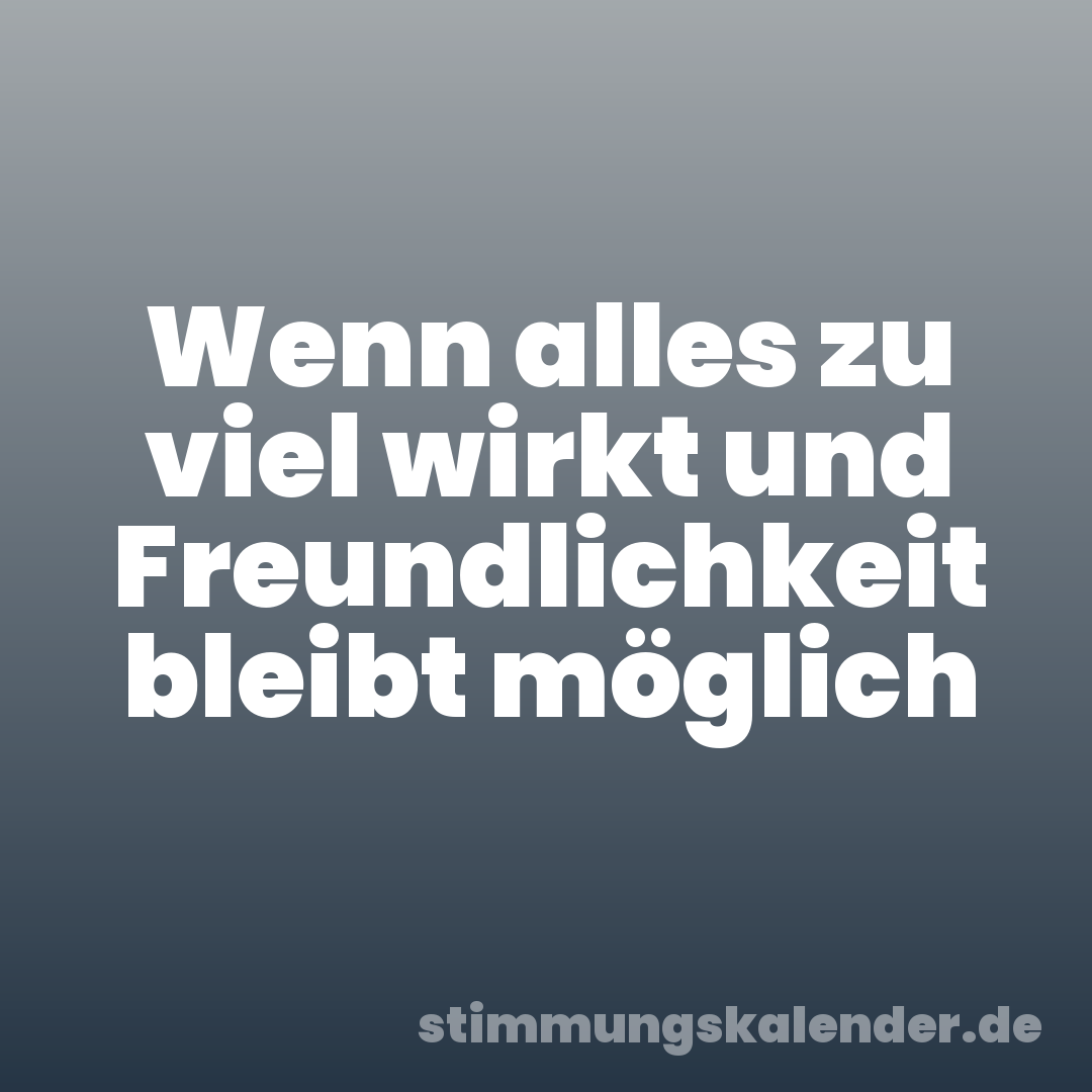 Wenn alles zu viel wirkt und Freundlichkeit bleibt möglich