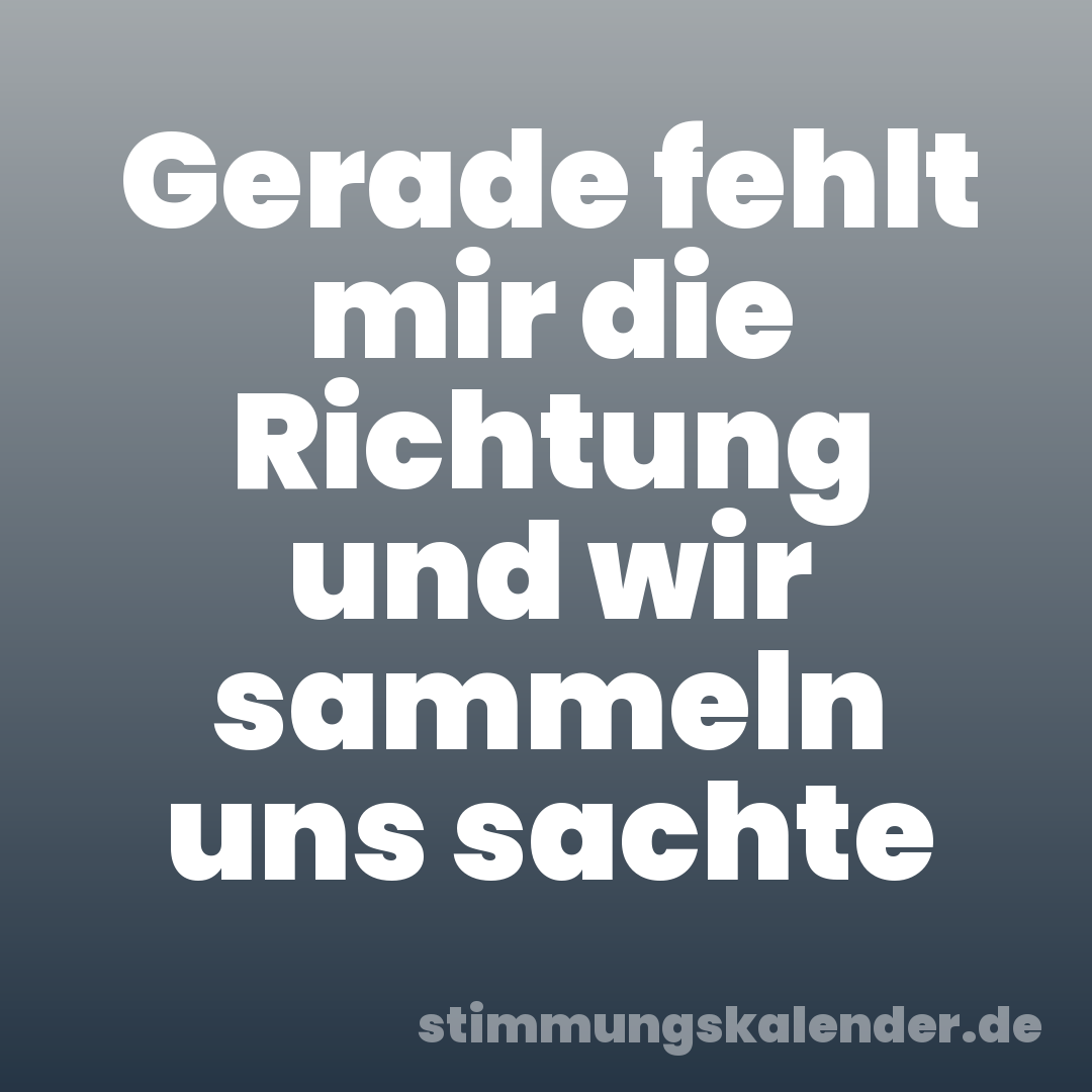 Gerade fehlt mir die Richtung und wir sammeln uns sachte