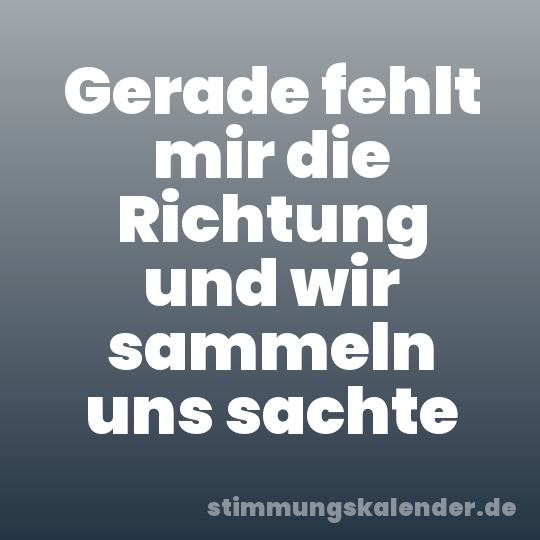 Gerade fehlt mir die Richtung und wir sammeln uns sachte