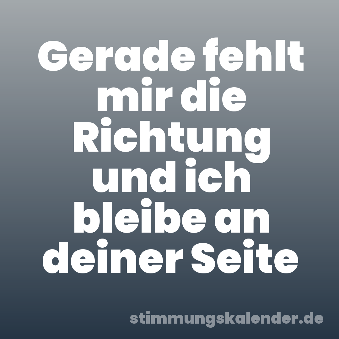 Gerade fehlt mir die Richtung und ich bleibe an deiner Seite