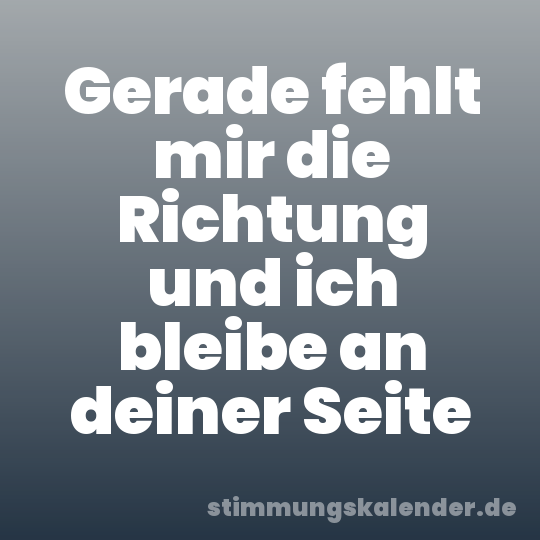 Gerade fehlt mir die Richtung und ich bleibe an deiner Seite