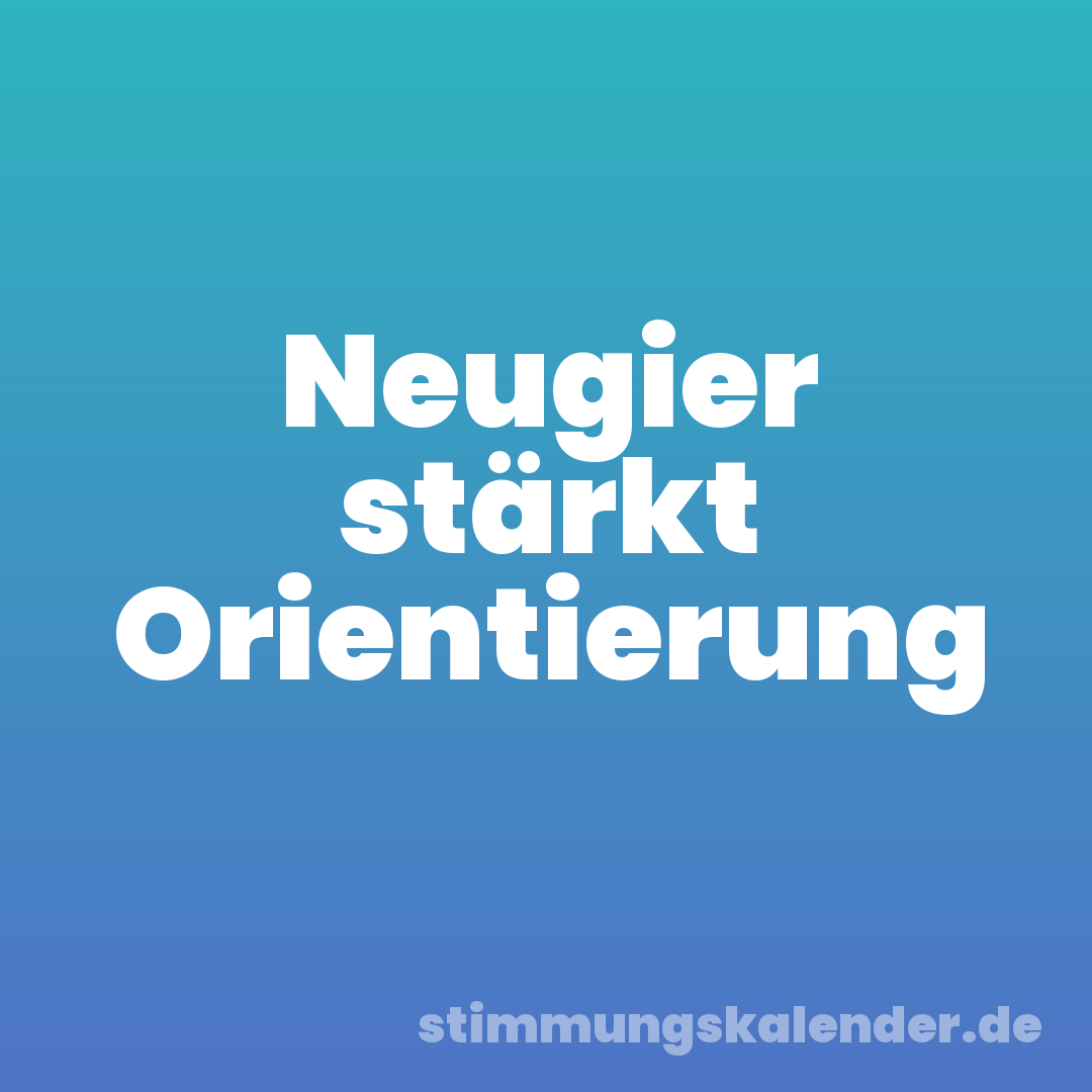 Neugier stärkt Orientierung