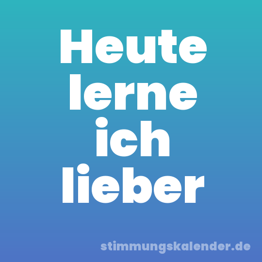 Heute lerne ich lieber