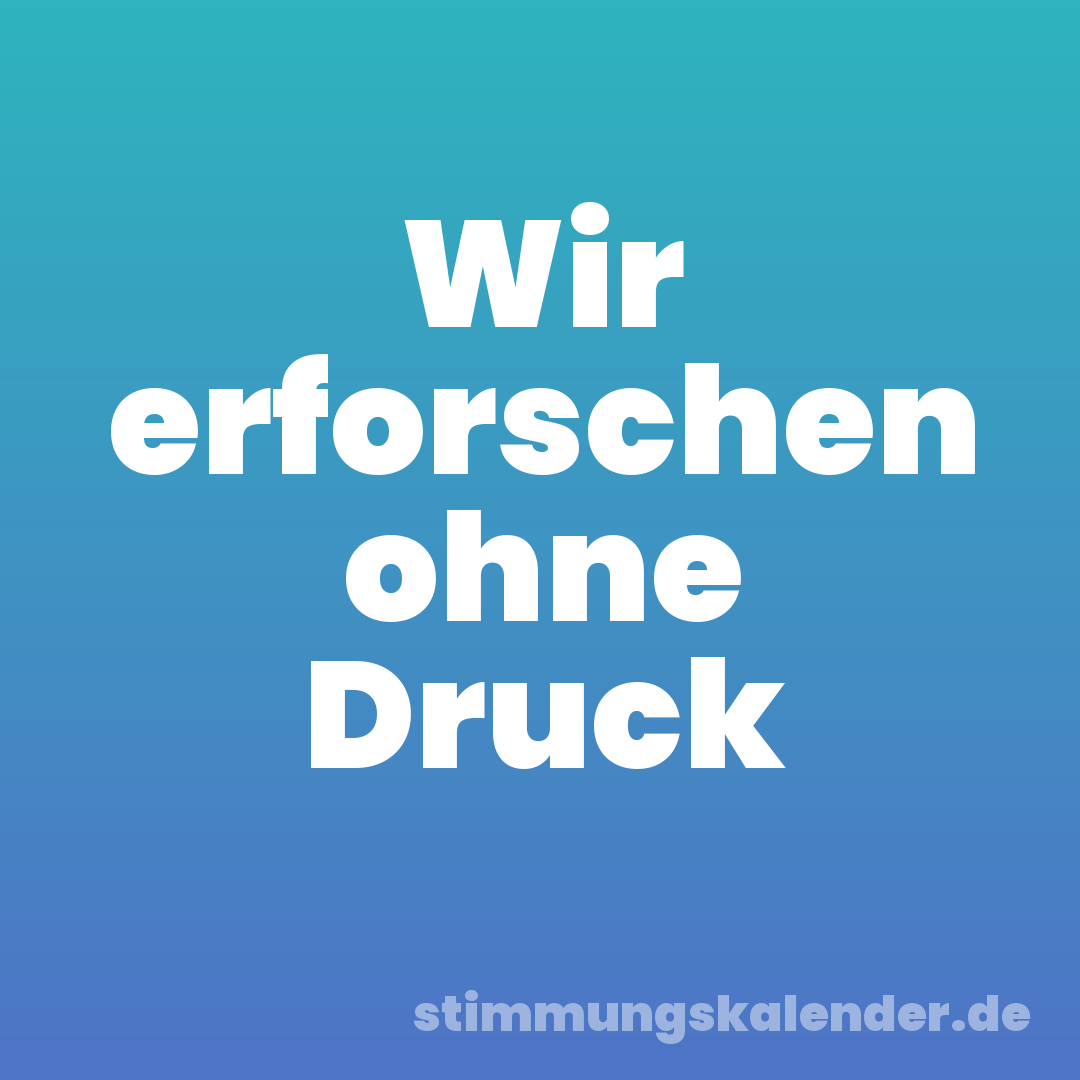 Wir erforschen ohne Druck