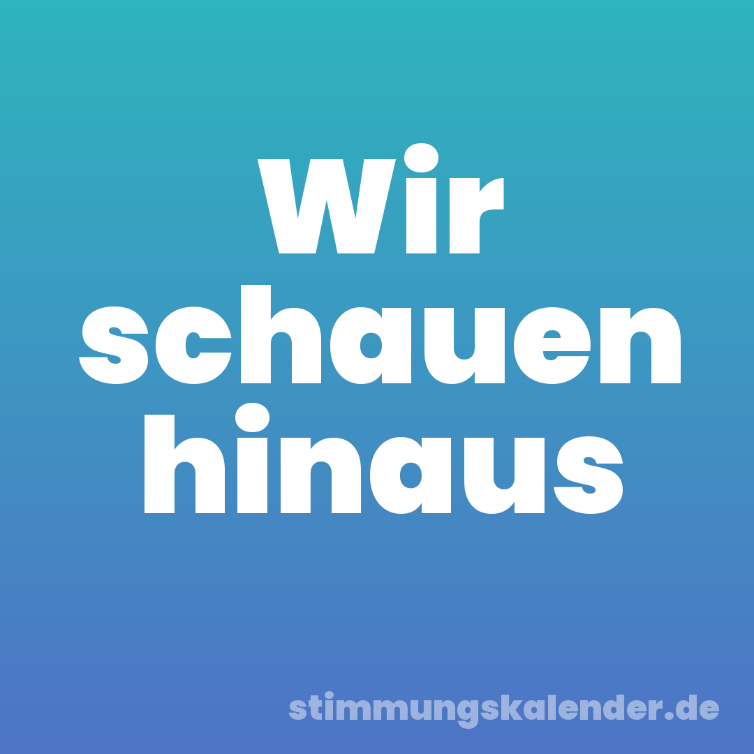 Wir schauen hinaus