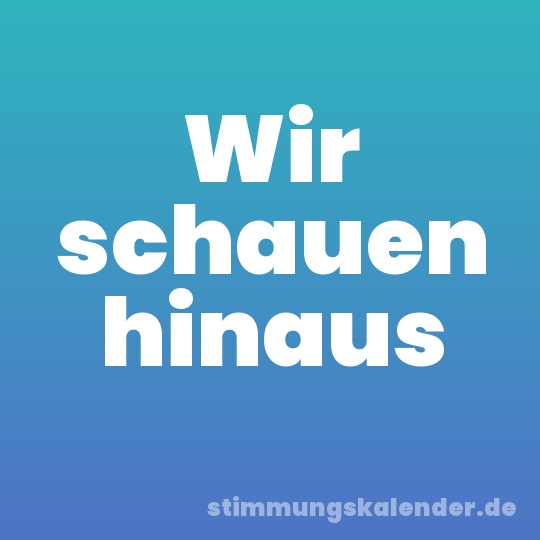 Wir schauen hinaus