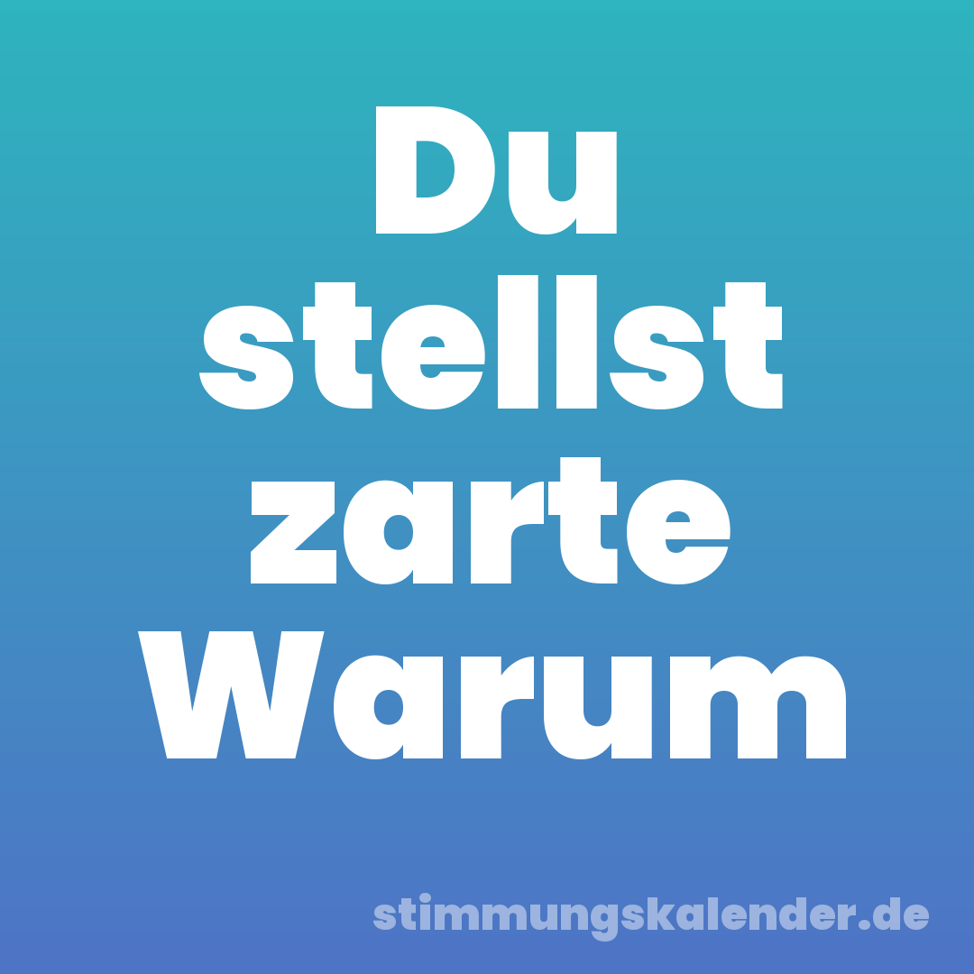 Du stellst zarte Warum