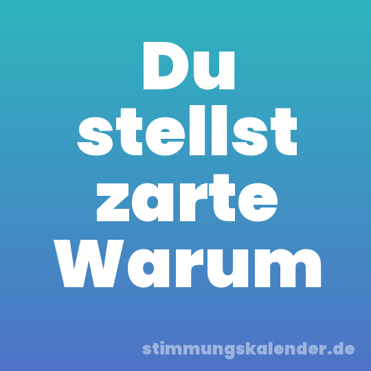 Du stellst zarte Warum