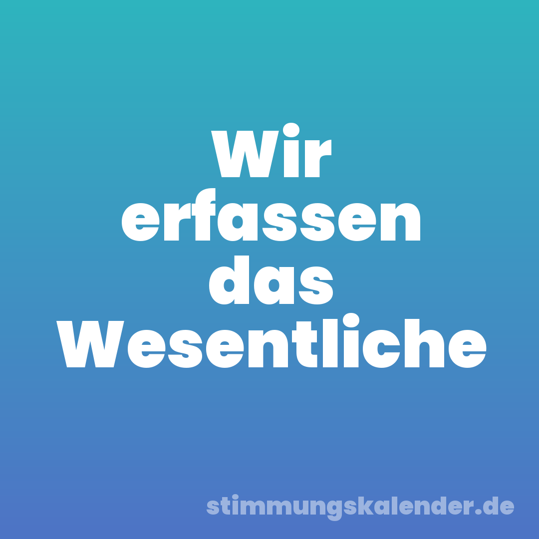 Wir erfassen das Wesentliche