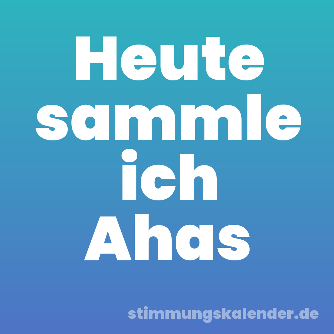 Heute sammle ich Ahas