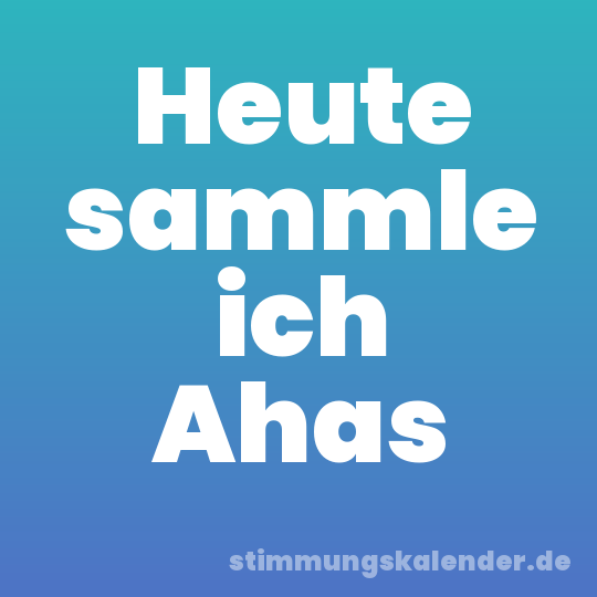 Heute sammle ich Ahas