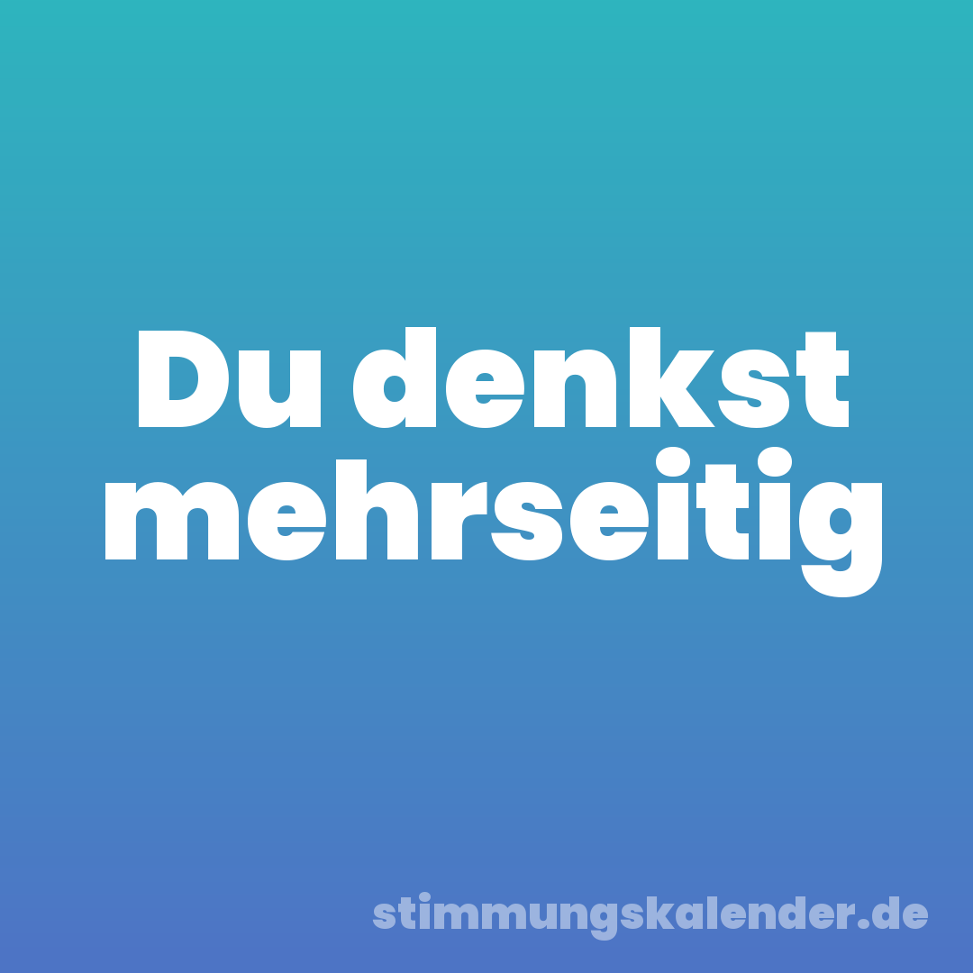 Du denkst mehrseitig