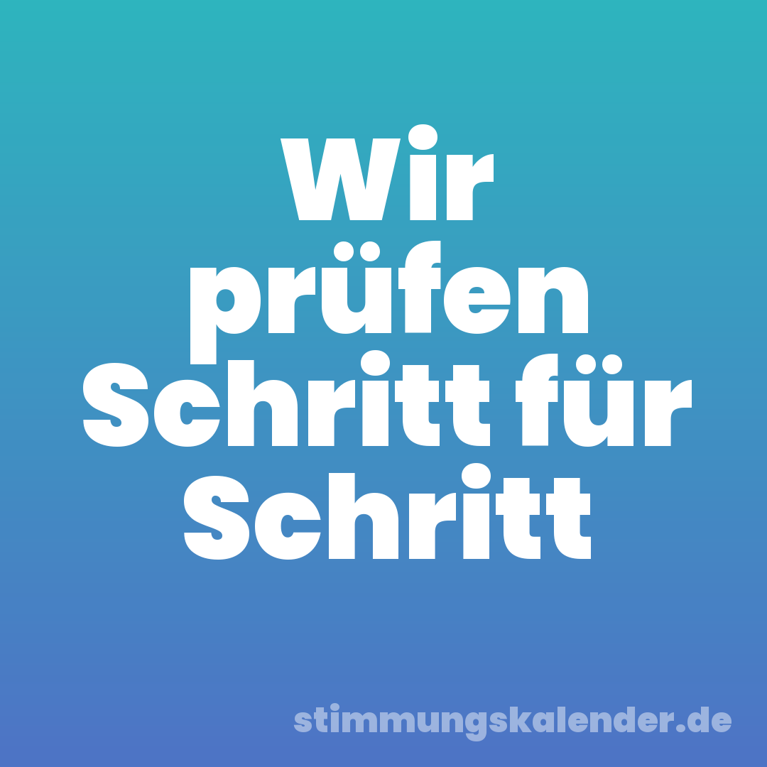 Wir prüfen Schritt für Schritt