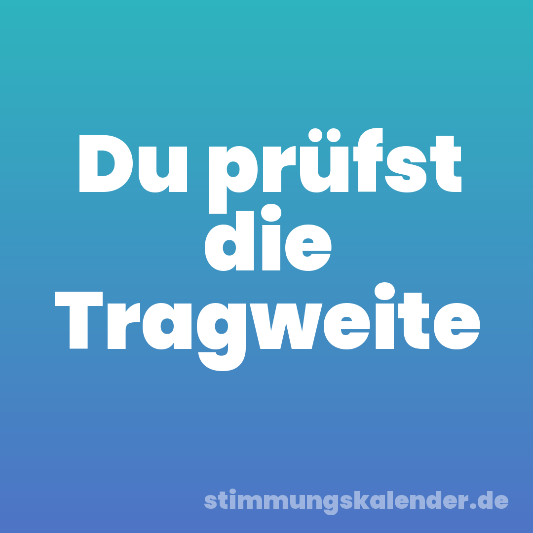 Du prüfst die Tragweite