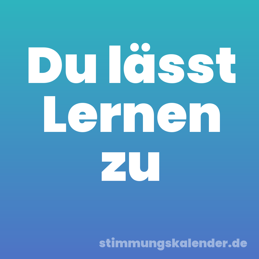 Du lässt Lernen zu