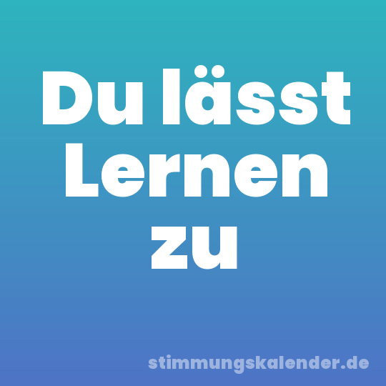 Du lässt Lernen zu