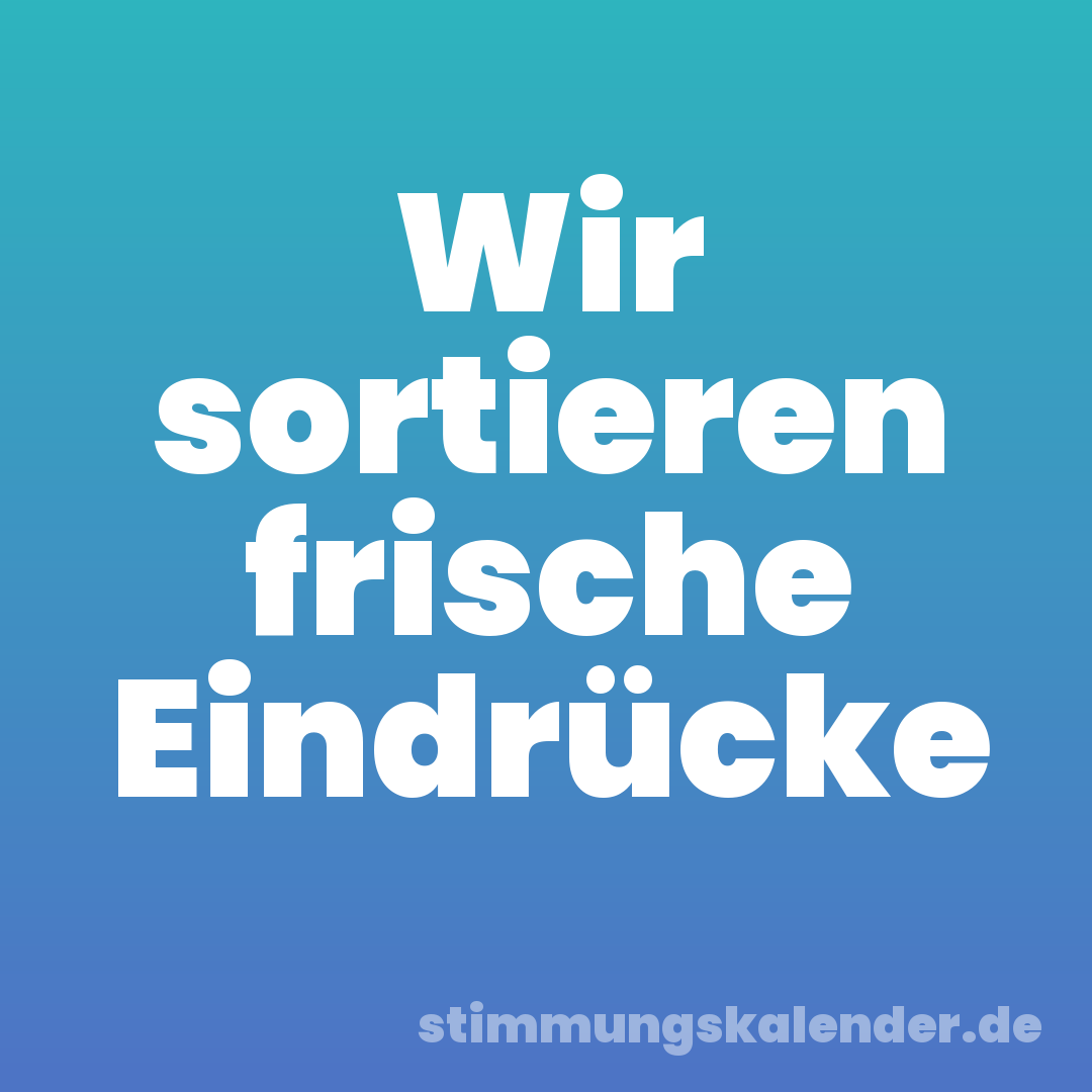 Wir sortieren frische Eindrücke