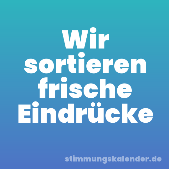 Wir sortieren frische Eindrücke