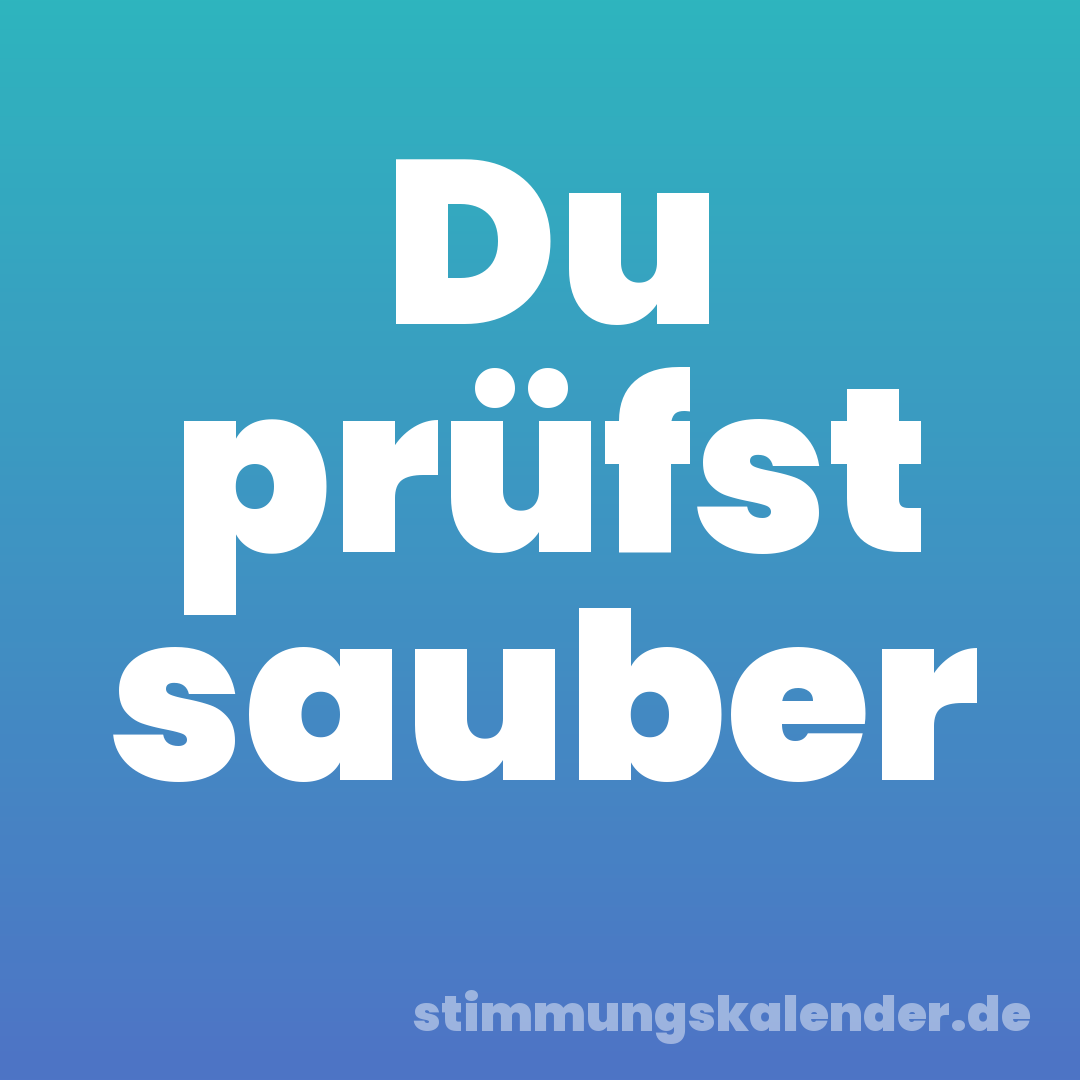 Du prüfst sauber