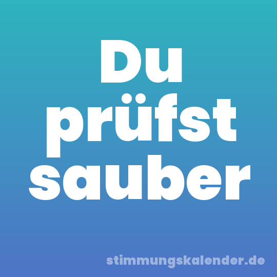 Du prüfst sauber