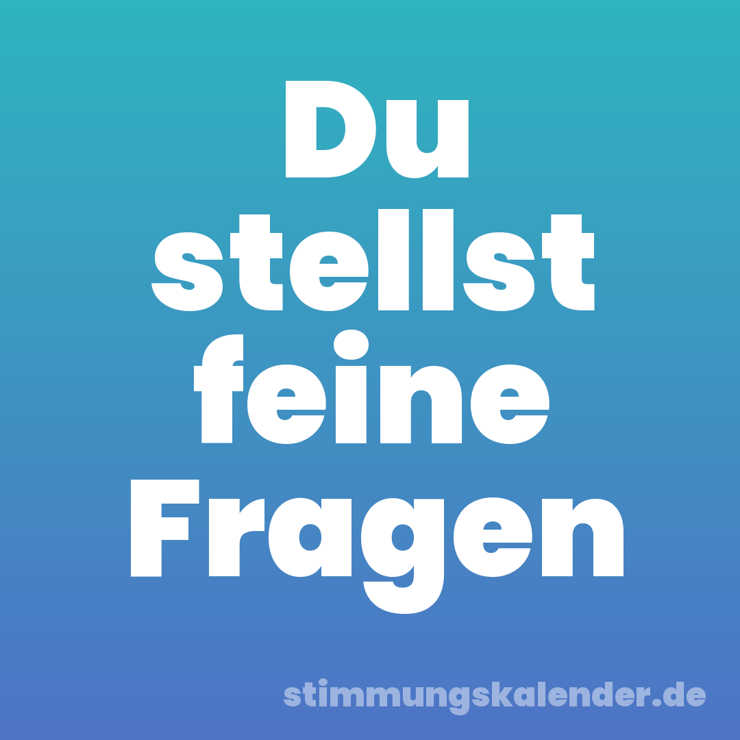 Du stellst feine Fragen