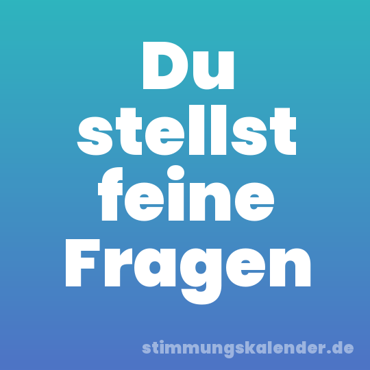 Du stellst feine Fragen