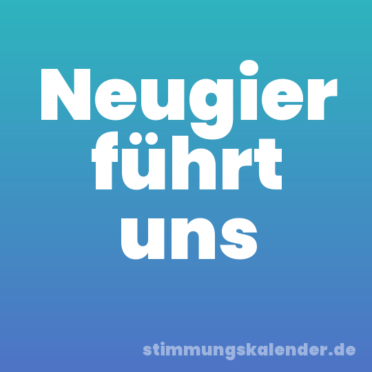 Neugier führt uns