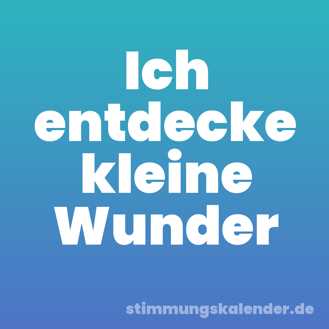 Ich entdecke kleine Wunder