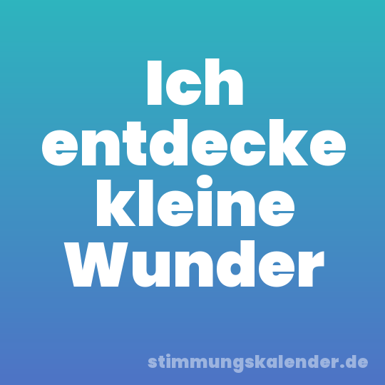 Ich entdecke kleine Wunder