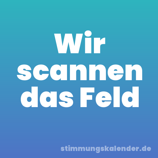 Wir scannen das Feld