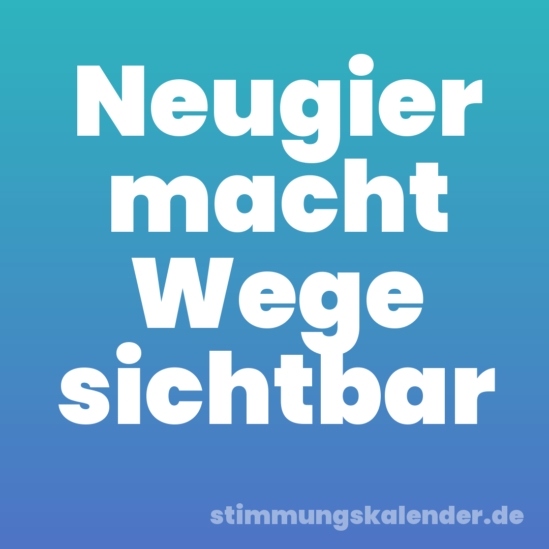 Neugier macht Wege sichtbar