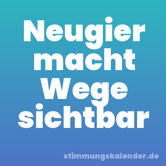 Neugier macht Wege sichtbar