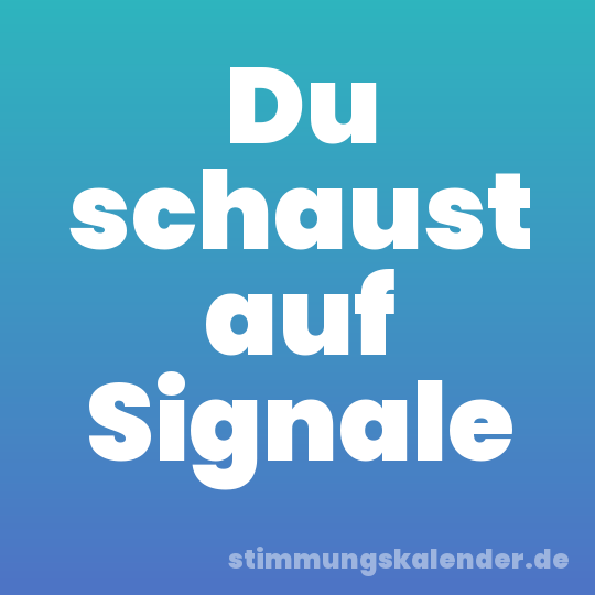 Du schaust auf Signale
