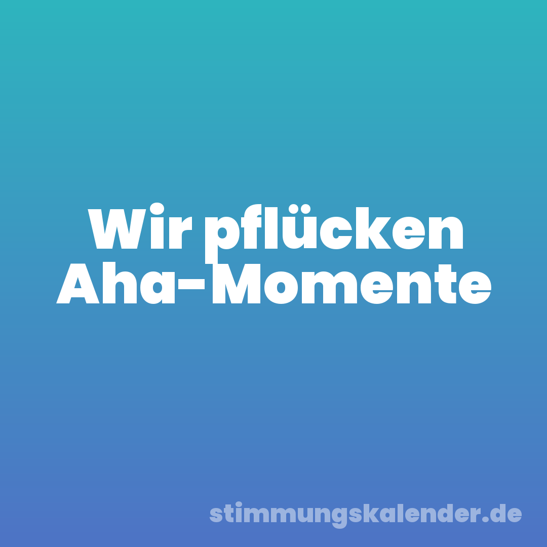 Wir pflücken Aha-Momente