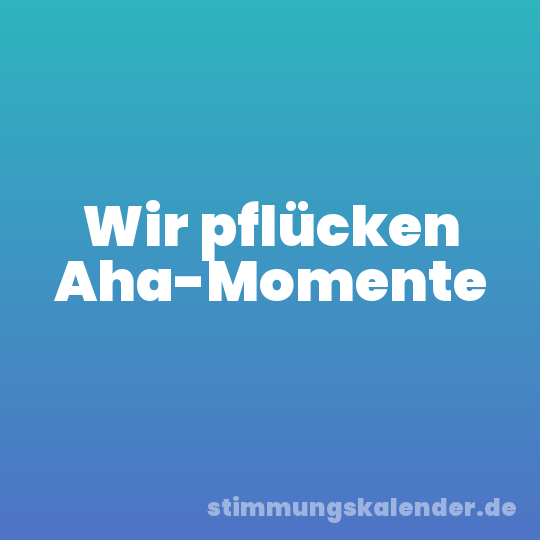 Wir pflücken Aha-Momente