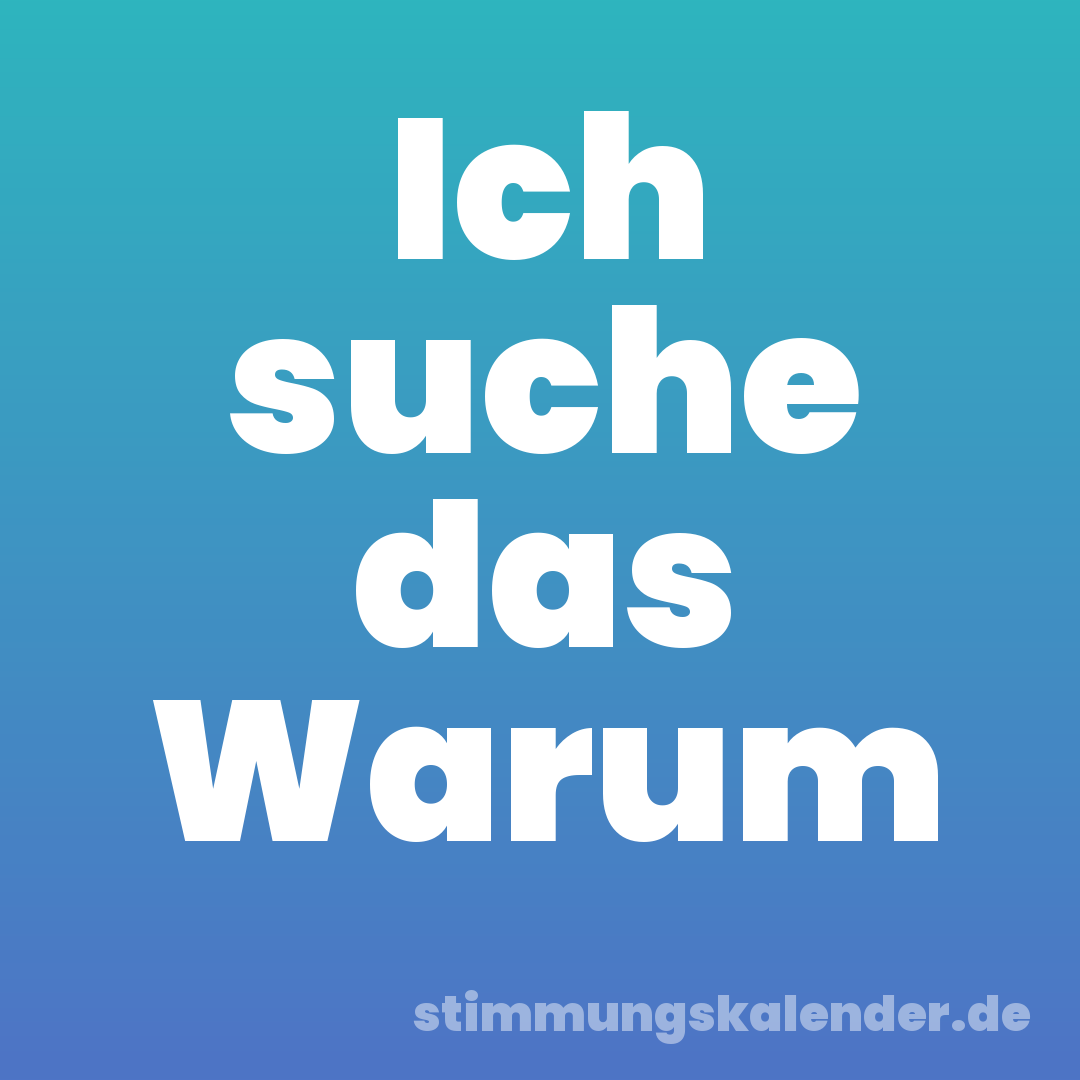 Ich suche das Warum