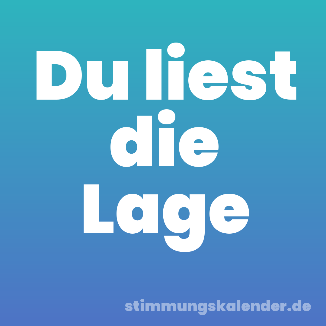 Du liest die Lage