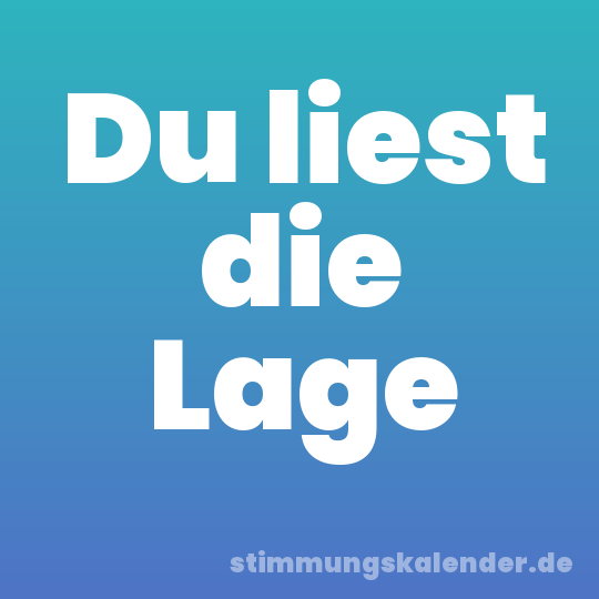 Du liest die Lage